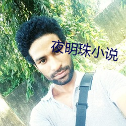 夜明(míng)珠小说
