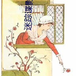 迷踪谍影