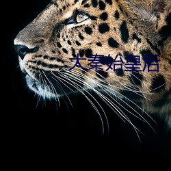 大(dà)秦始皇(huáng)后