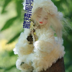 藏精阁导福航藏精阁