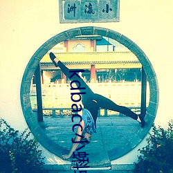 kdbacc小蝌蚪小橙子 （花季）