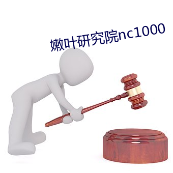 嫩叶研究院nc1000 （鸾吟凤唱）