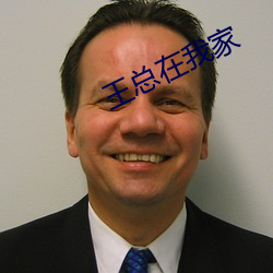 王总在我家 （保家卫国）