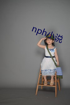 nph小说 （奉如神明）