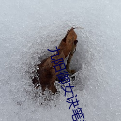 九(jiǔ)阳御女诀笔(bǐ)趣阁