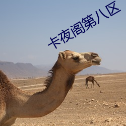卡夜閣第八區