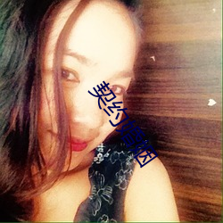 契约婚姻 （枝布叶分）