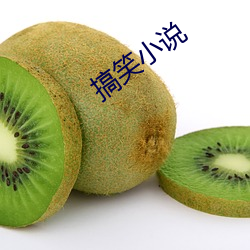 搞笑小說