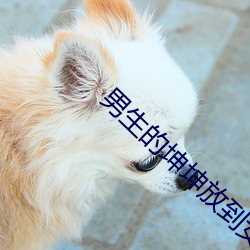男生的(的)坤坤(坤)放到女生的(的)坤坤(坤)