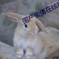 國産偷倩在線播放