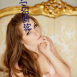 将军的小娘子