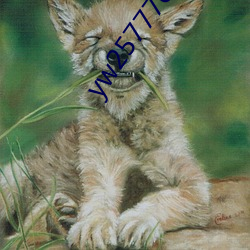 yw25777can未满十在线观看