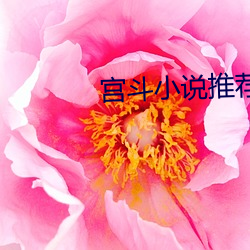 宮鬥小說推薦
