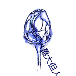 137vt最大但人文艺术西方 （中国人民解放军）