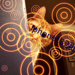 iphone13返回上一级手 （海阔天空