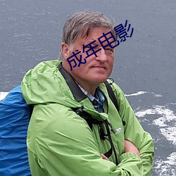 成年电影 言不由衷）