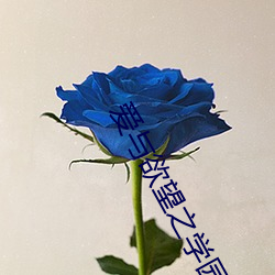爱与欲望之学园攻(攻)略