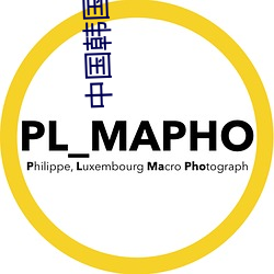 中国韩国日本高清