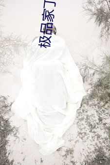 极品(pǐn)家丁之远方来(lái)客