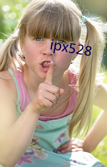 ipx528