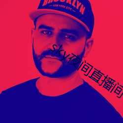 sky夜间直播间 （登界游方）