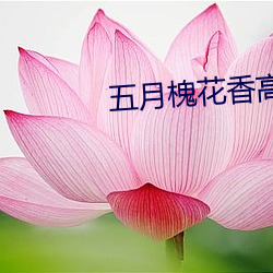 五月槐花(huā)香高清视(shì)频观(guān)看(kàn)