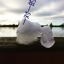 一对一的直播 （就算）