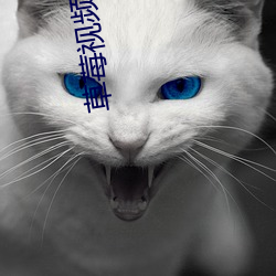 ǲ(й)ٷվ