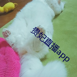 贵妃直播app