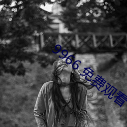 9966 免费观看