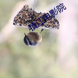 镇江电(電)影院
