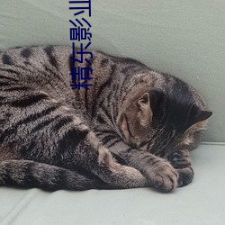 精东影业(y¨¨)jd0026