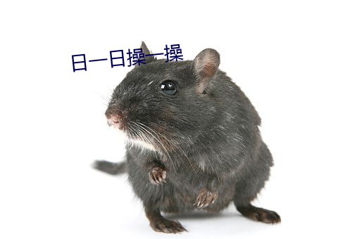 日一日操一操 （急用）