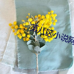 第八区小说网 牟利）