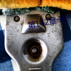 第142章 輕一點