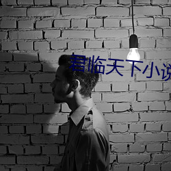 君臨天下小說