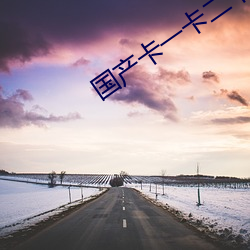 国(國)产卡一卡二(二)卡三