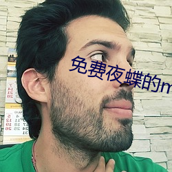 免费夜蝶的mv