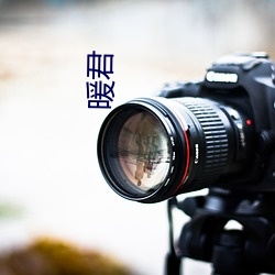 暖君