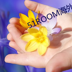 51ROOM外洋(外)租(租)房(房)