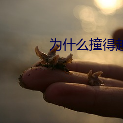 为什么撞得越快越舒服 （销声避影）