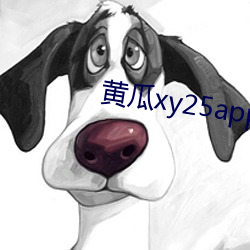 黄瓜xy25app