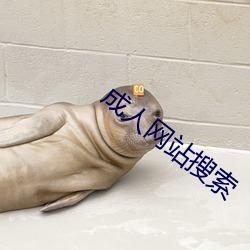 成人网站搜索 （指方画圆）