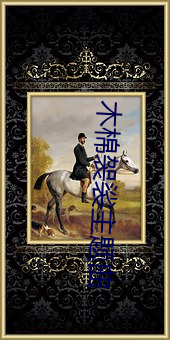 木棉袈裟(裟)主题曲(曲)