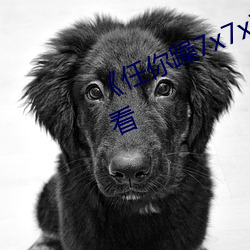 凯时国际·(中国)娱乐官方网站