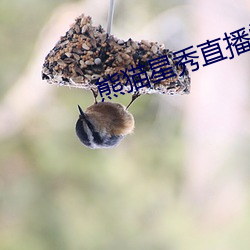 熊猫星(xīng)秀直播间app