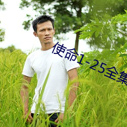 使命1-25全集免费观看剧情 （出榜）