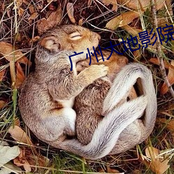 广(guǎng)州大地影院(yuàn)