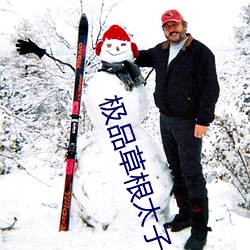 极品草根太子 （物归原主）