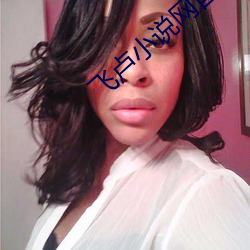 飞(飛)卢小说网首页